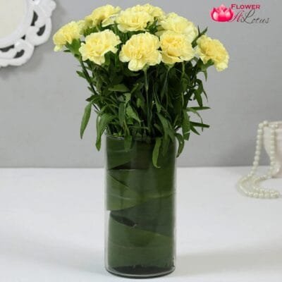 Yellow Carnations