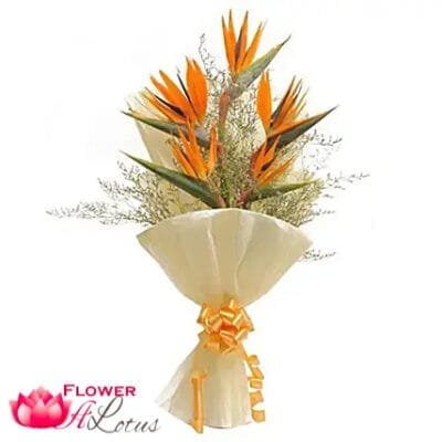 Birds of Paradise Bouquet