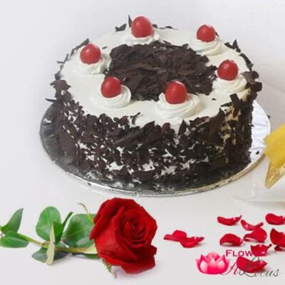 Black Forest Cake N Single Rose
