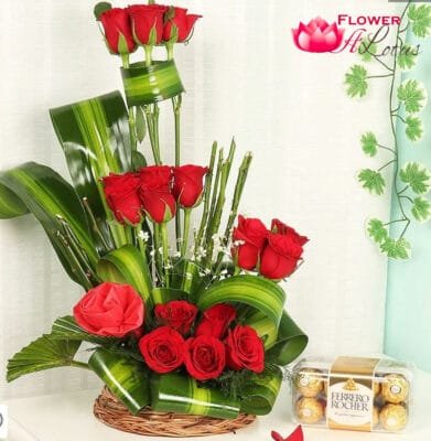 Coco Red Elan
