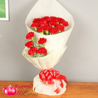 Carnival of Carnations
