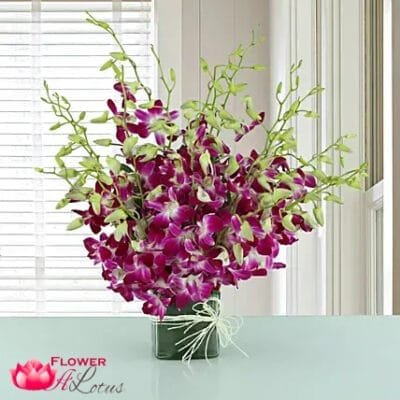 Exotic Purple Orchids In A Vase