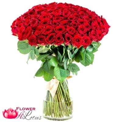 Magical Red Roses