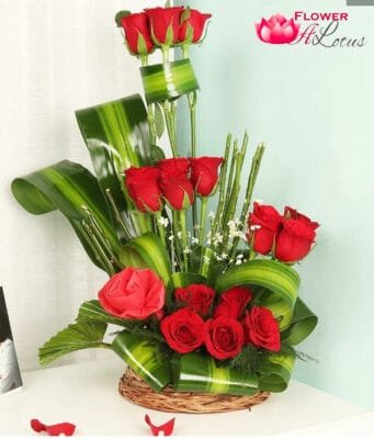 Red  Elan