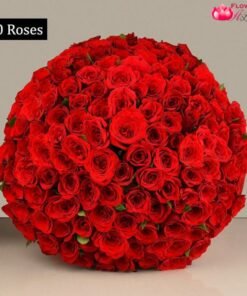 Valentine Day Special