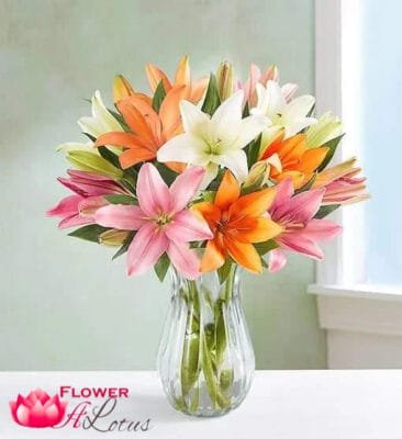 Rainbow of Lilies