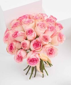 20 Shaded Pink Roses
