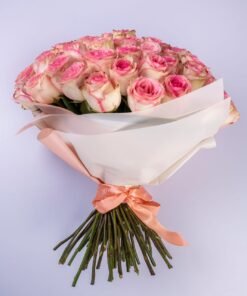 35 Shaded Pink Roses
