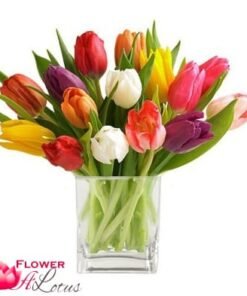 Assorted Tulips