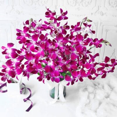 Bouquet of Purple Orchids in Glass vase