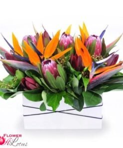 Box of Australian natives and birds of paradise