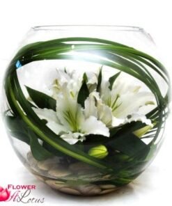 Elegant White Lilies
