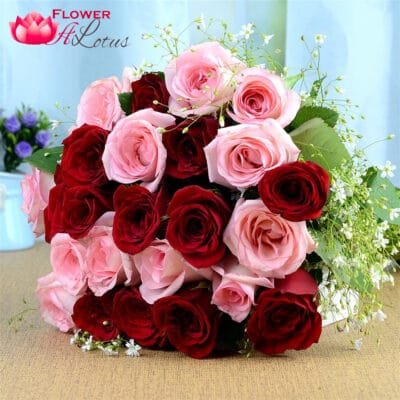 Pink N Red Rosy Beauty