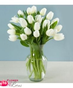 White Tulip