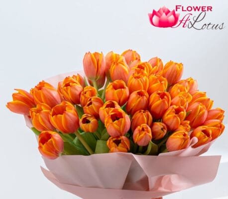 20 orange tulip
