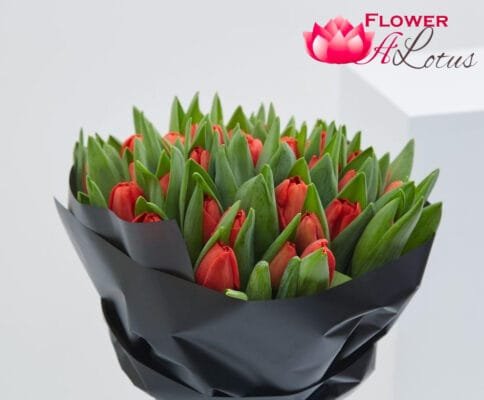 30 Beautiful-Red tulips