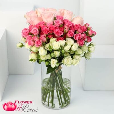 Hend's pink passion