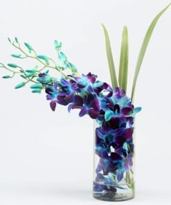 Blue Orchids Dandella in Vase