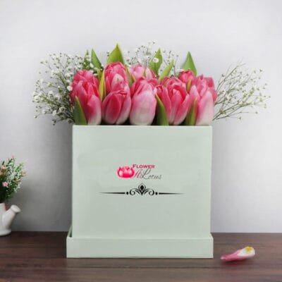 Tulip in a Sentiment Box