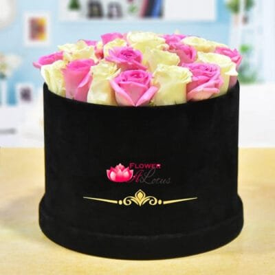 White N Pink Floral Delight