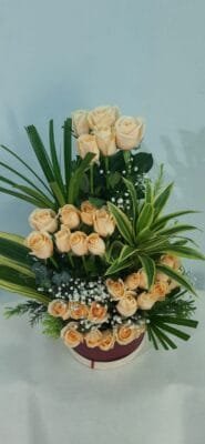 Cute 30 peach Roses