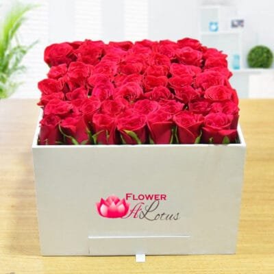 Delight red roses