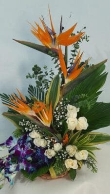 Exotic Mix Arrangement