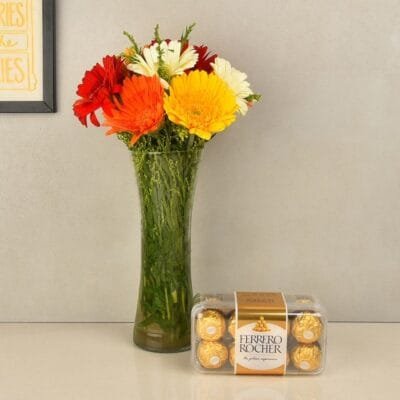 Gerbera and Chocolate