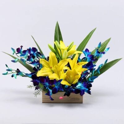 Orchids and Lilies Arrangement