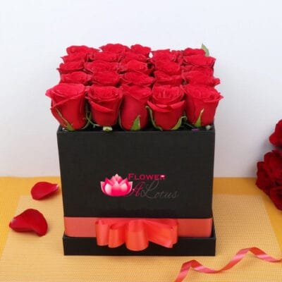 Romance Radiant