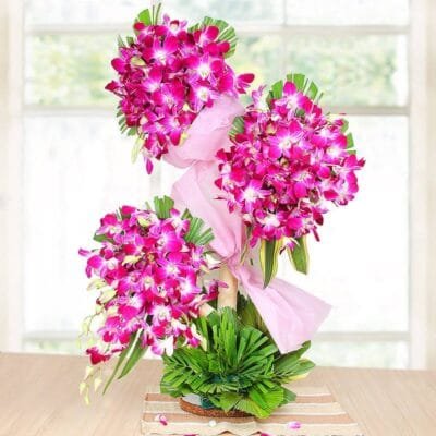 Beautiful orchids stand