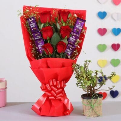 Red roses with jade plant & chocolate