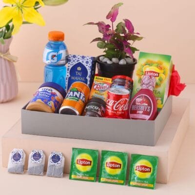 A Blend Of Hampers with Plant