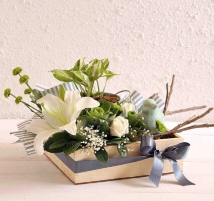 Syngonium Plant Premium Gift Hamper