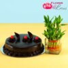 2 layer Bamboo Plant N Truffle Cake